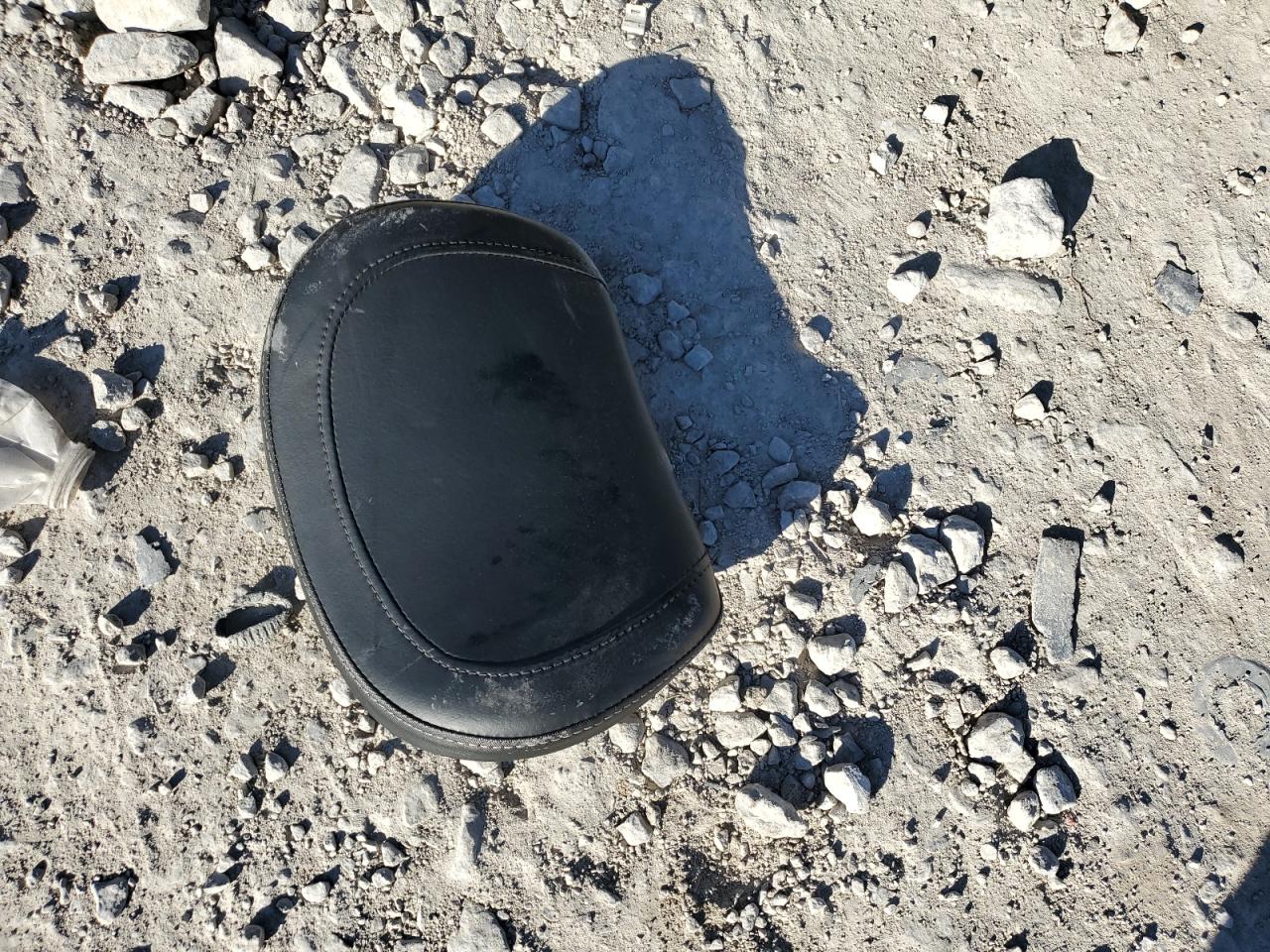 2024 Harley-Davidson Flhx VIN: 1HD1KB715RB640696 Lot: 92568345