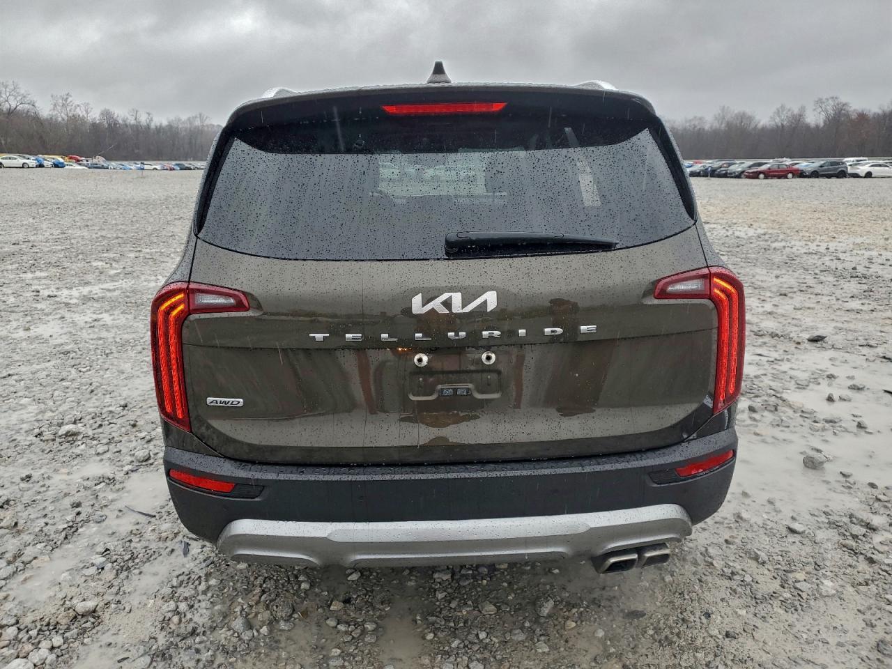 2022 Kia Telluride Ex VIN: 5XYP3DHC3NG219516 Lot: 94256755