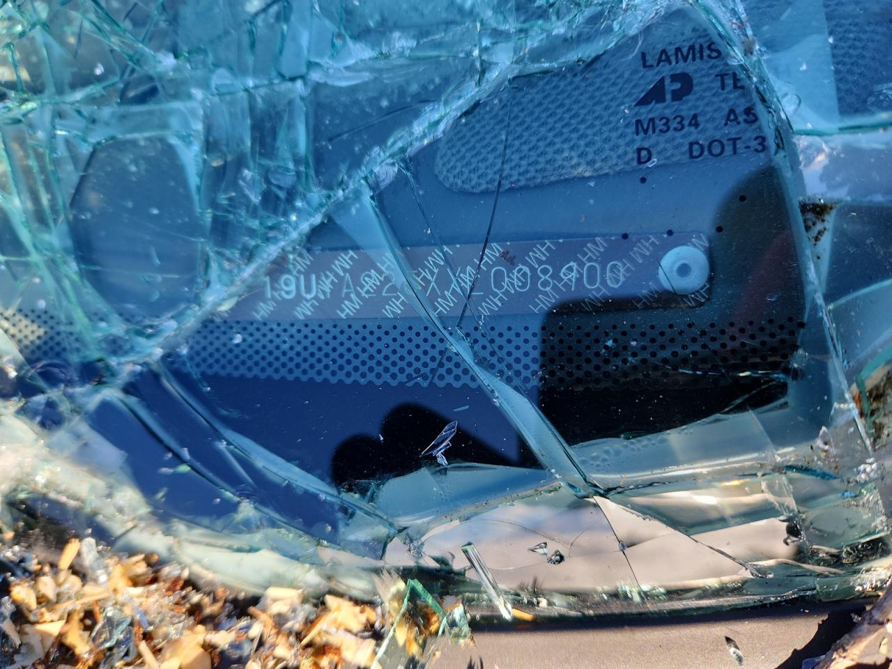 1999 Acura 3.0Cl VIN: 19UYA225XXL008900 Lot: 91973945