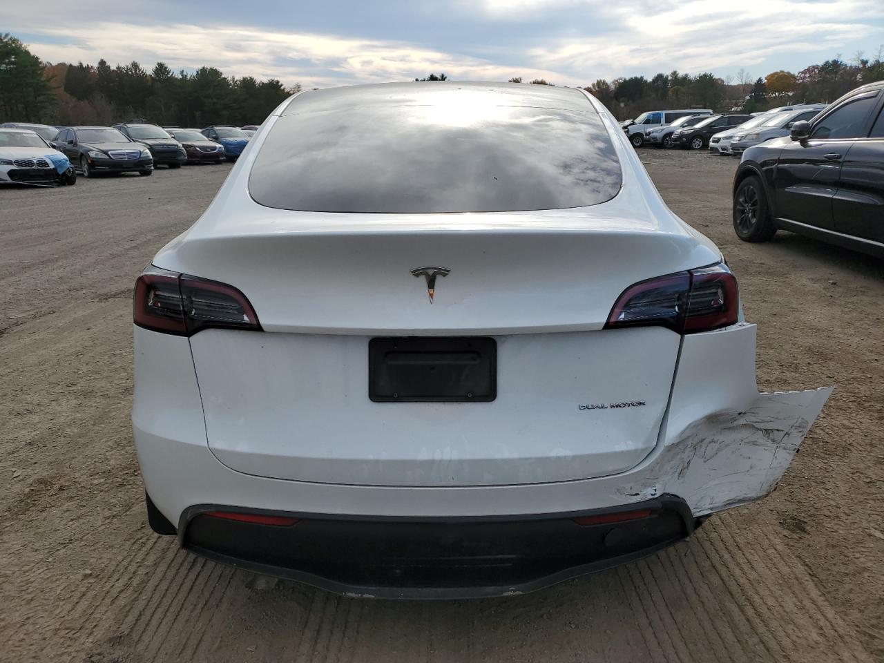 2023 Tesla Model Y VIN: 7SAYGDEE7PA114728 Lot: 90328035