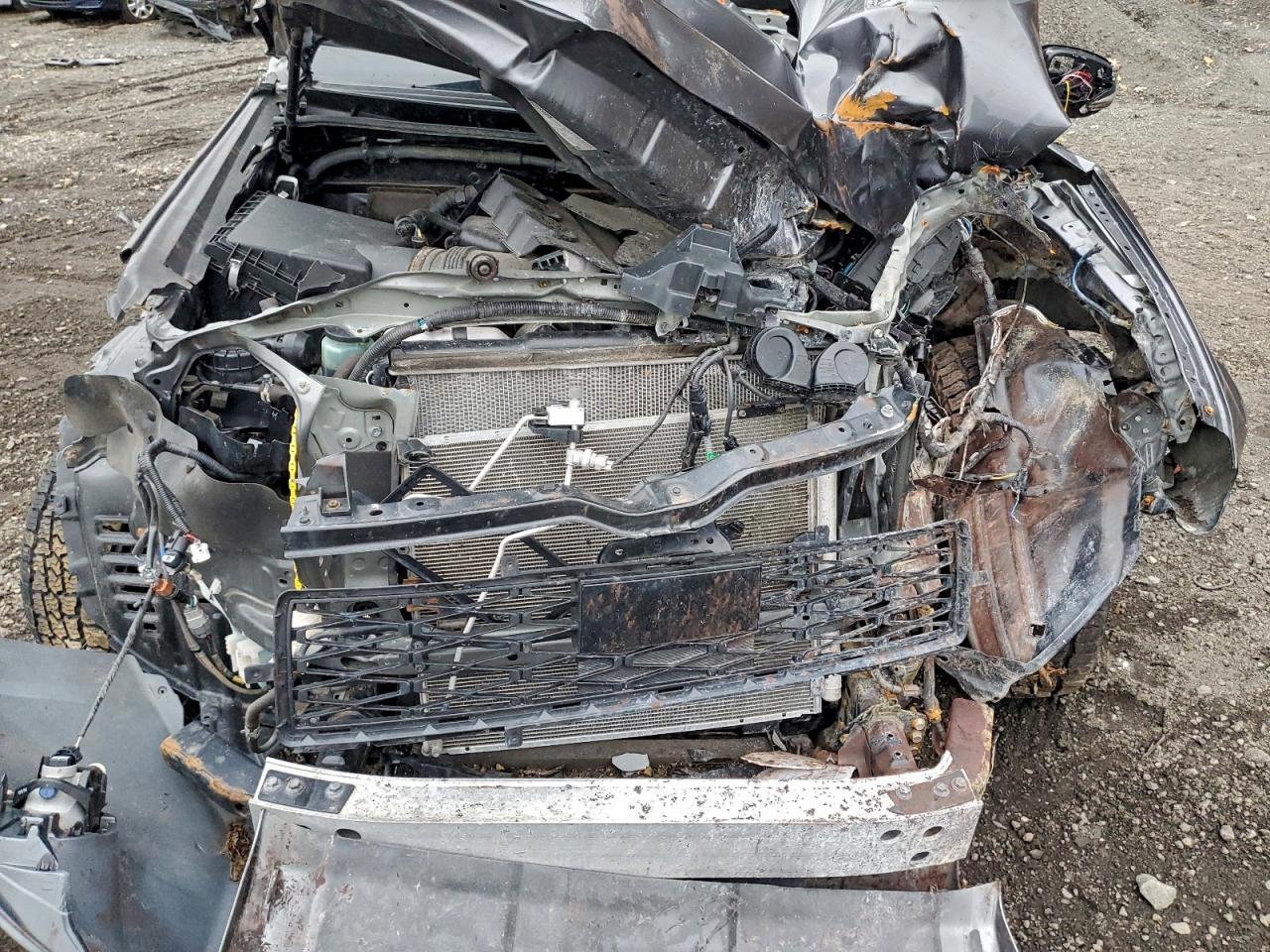 2020 Toyota 4Runner Sr5/Sr5 Premium VIN: JTEBU5JR7L5818397 Lot: 92223085