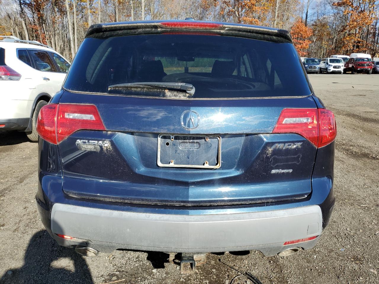 2009 Acura Mdx VIN: 2HNYD28229H506778 Lot: 91201105