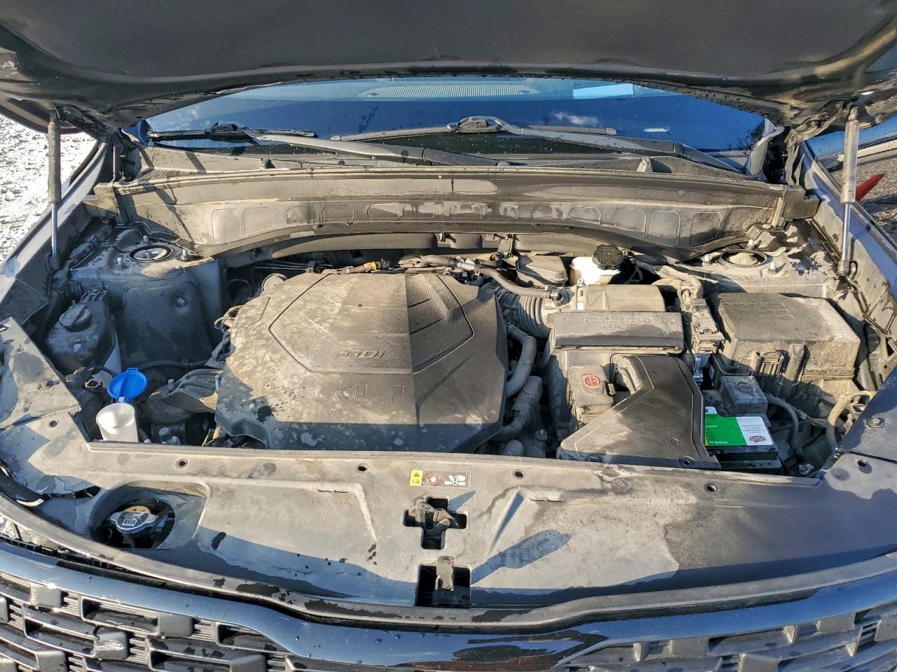 2022 Kia Telluride Sx VIN: 5XYP5DHC0NG241466 Lot: 94136045