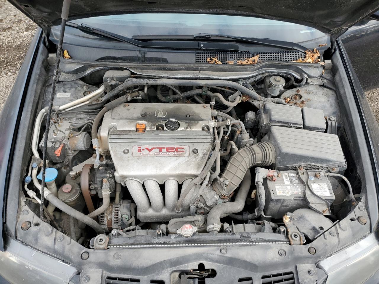 2006 Acura Tsx VIN: JH4CL96846C800389 Lot: 93679575