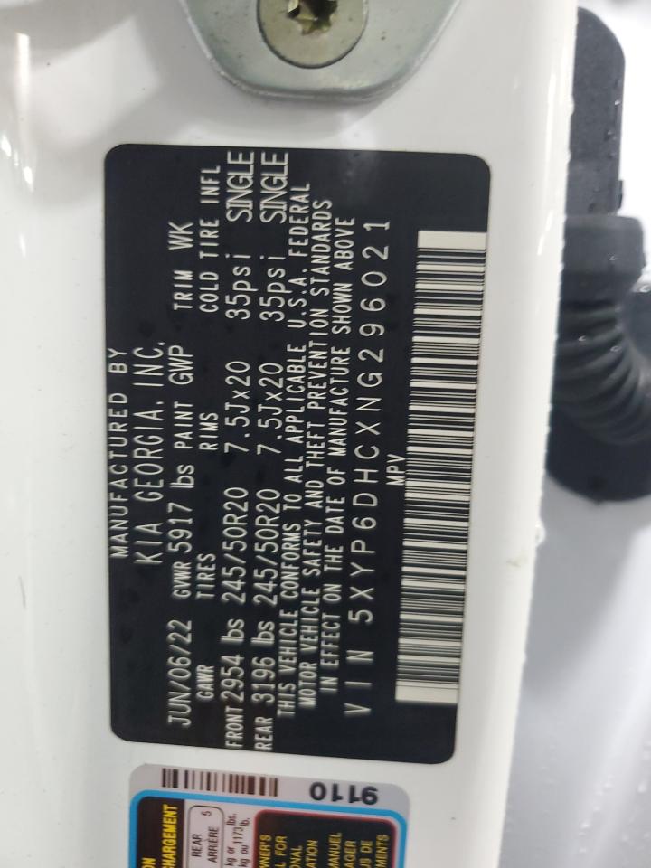 2022 Kia Telluride S VIN: 5XYP6DHCXNG296021 Lot: 93302905