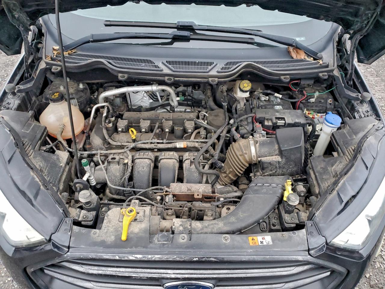 2019 Ford Ecosport Se VIN: MAJ6S3GLXKC250844 Lot: 94655055