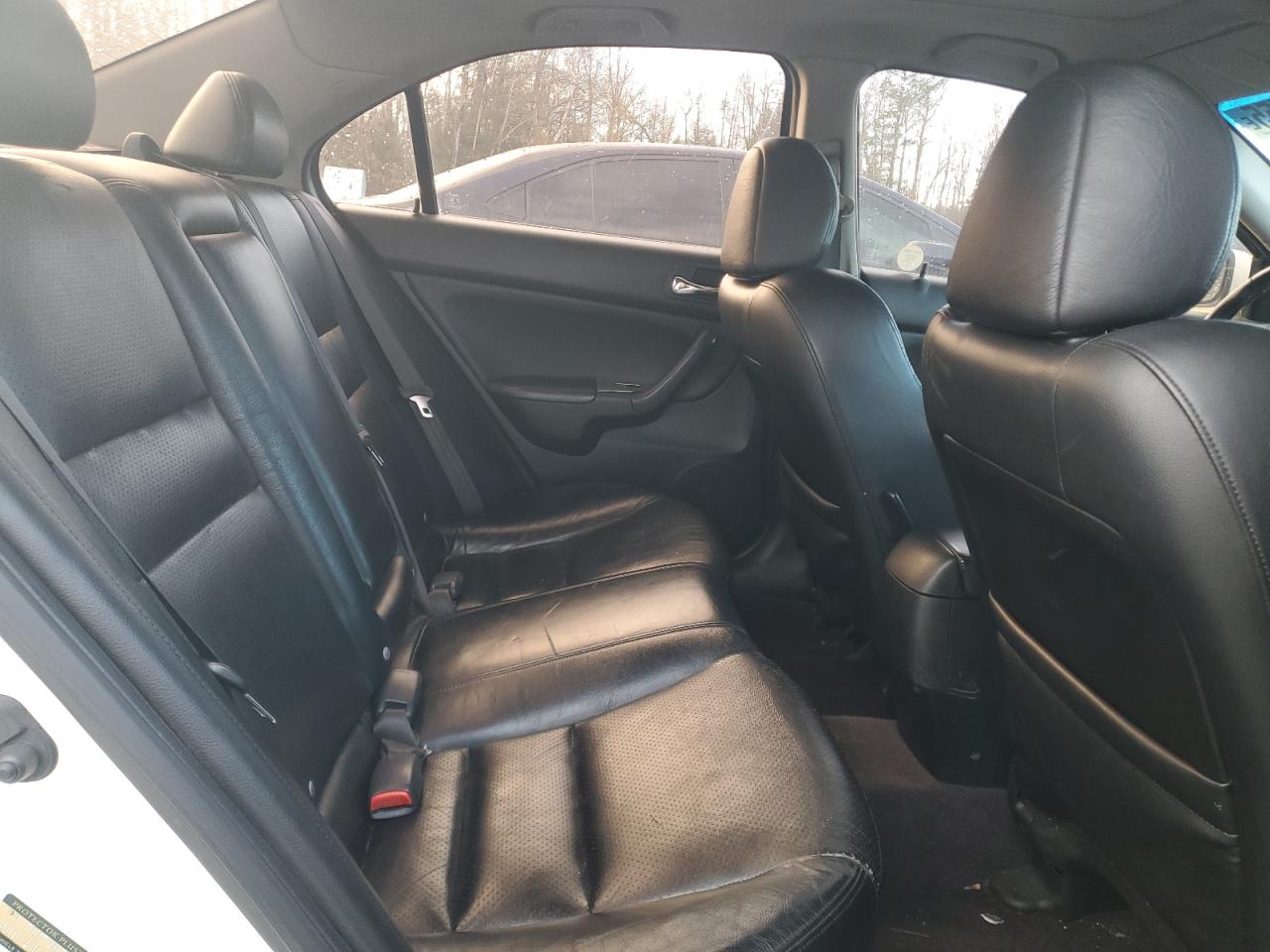 2006 Acura Tsx VIN: JH4CL96876C800077 Lot: 92051555