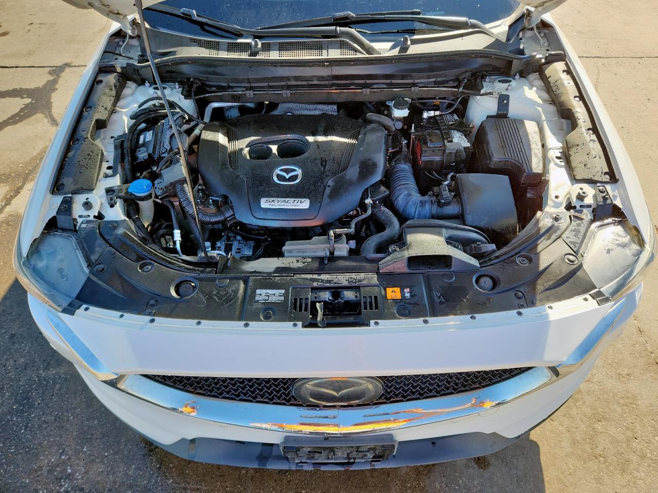 2019 Mazda Cx-5 Signature VIN: JM3KFBEY1K0655487 Lot: 92856595