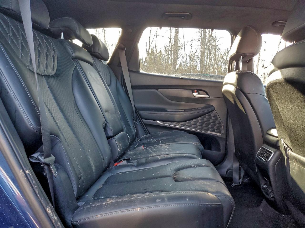 2022 Hyundai Santa Fe Calligraphy VIN: 5NMS5DAL4NH456035 Lot: 93853325