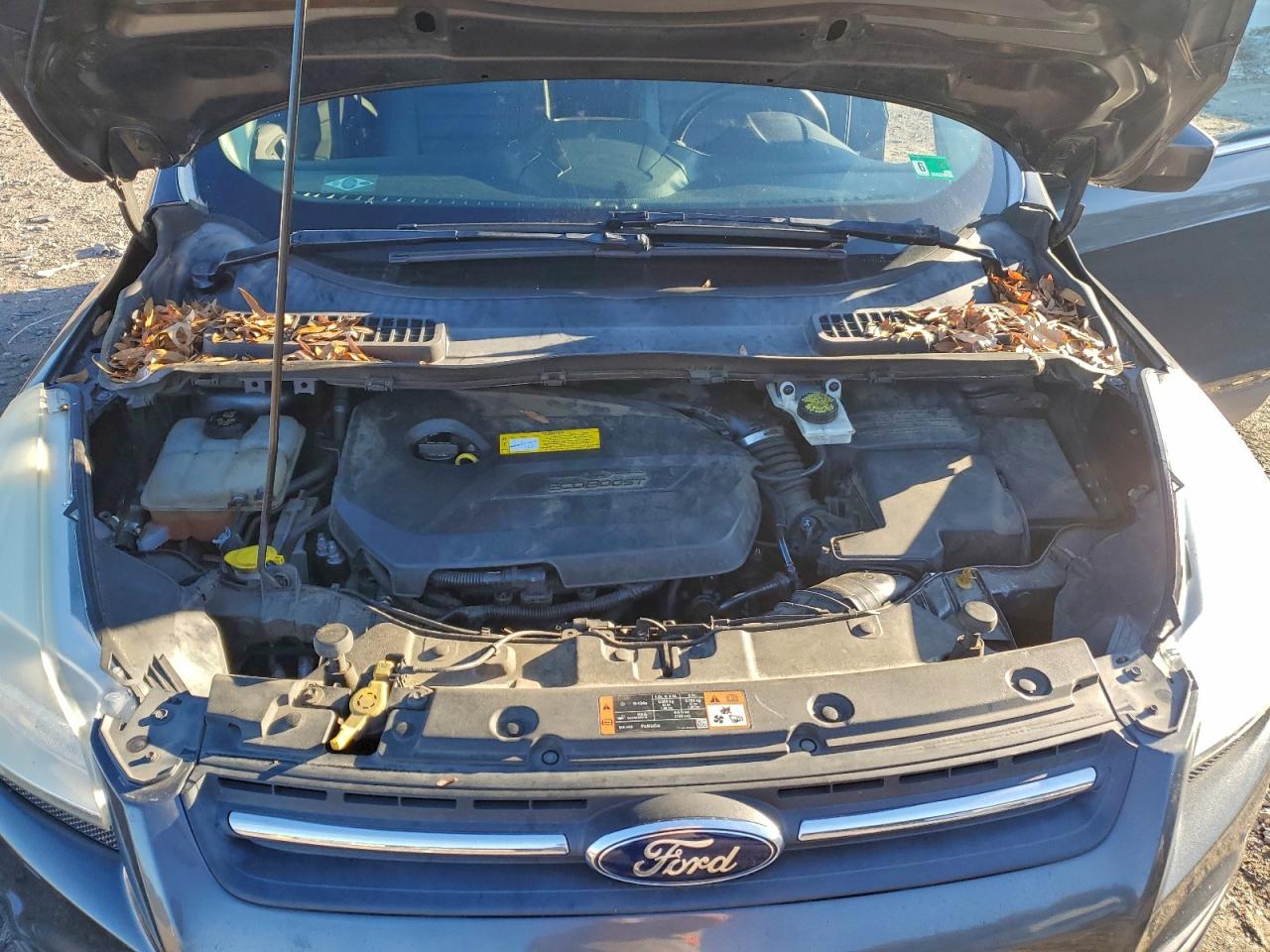 2015 Ford Escape Se VIN: 1FMCU9GX5FUB67637 Lot: 93896405