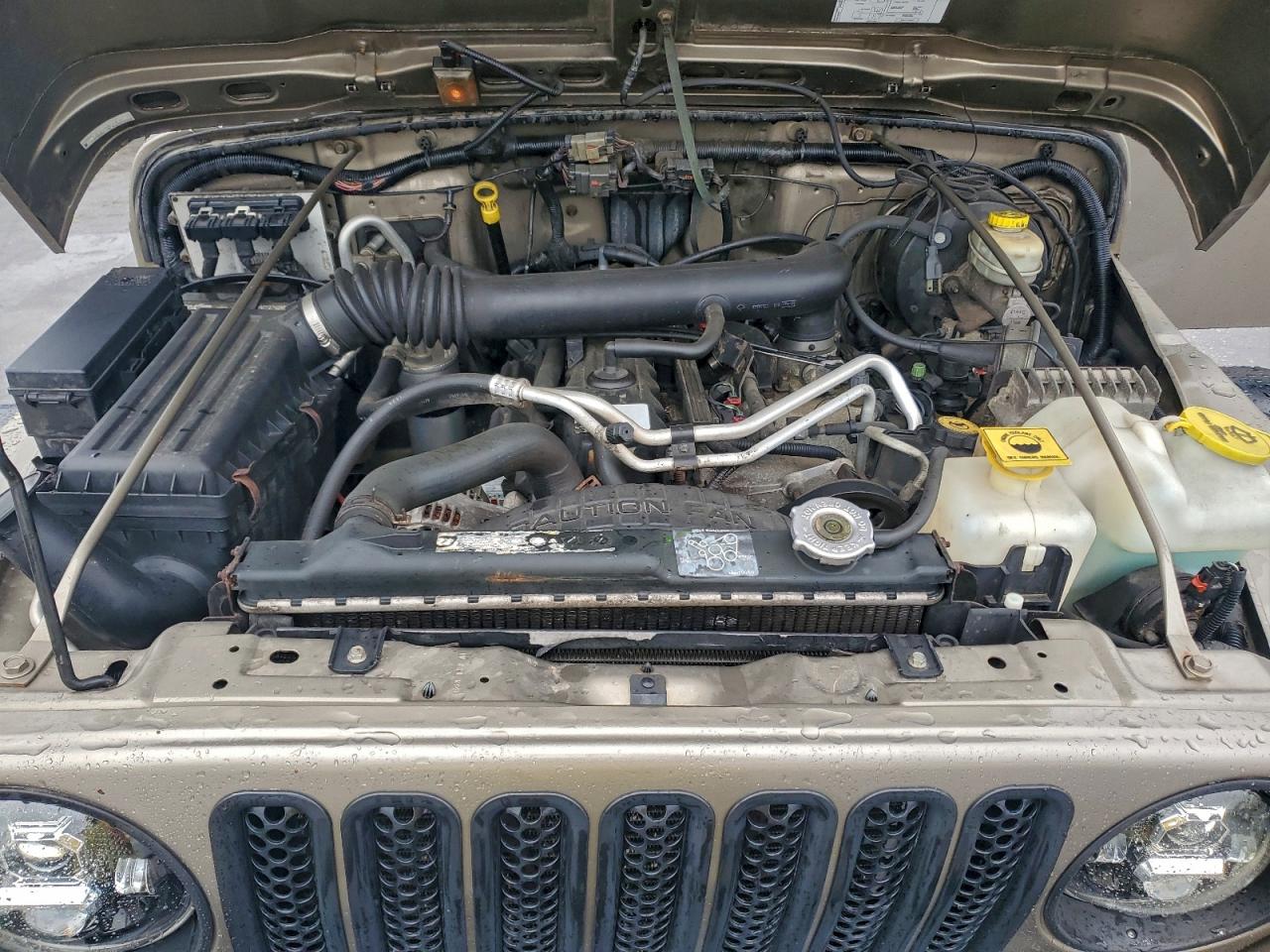 2004 Jeep Wrangler / Tj Rubicon VIN: 1J4FA69S04P779745 Lot: 93745425