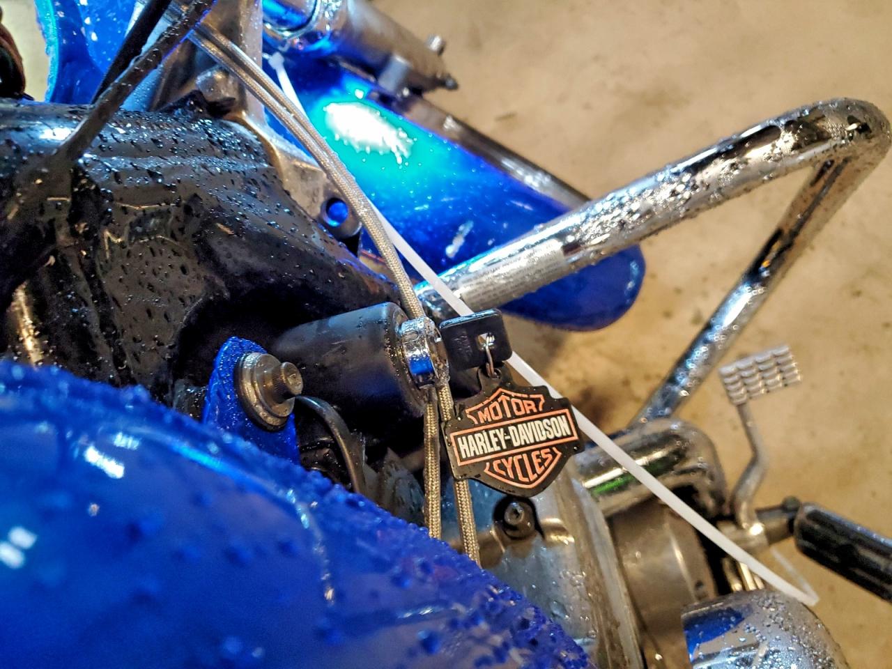 2002 Harley-Davidson Xl883 Hugger VIN: 1HD4CEM112K146194 Lot: 94331475