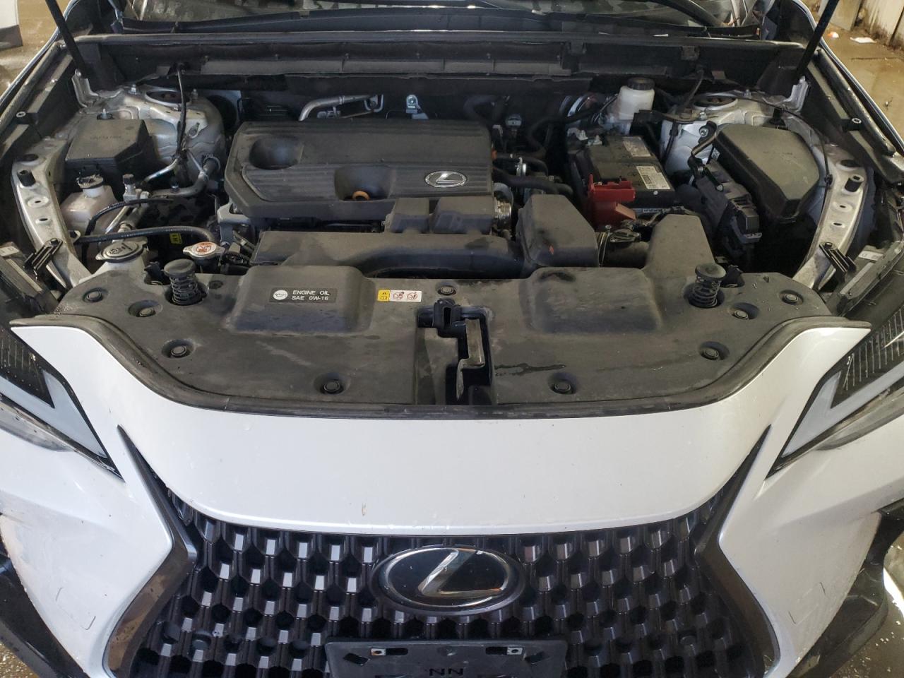 2022 Lexus Nx 250 VIN: 2T2GDCEZ6NC002064 Lot: 92932885