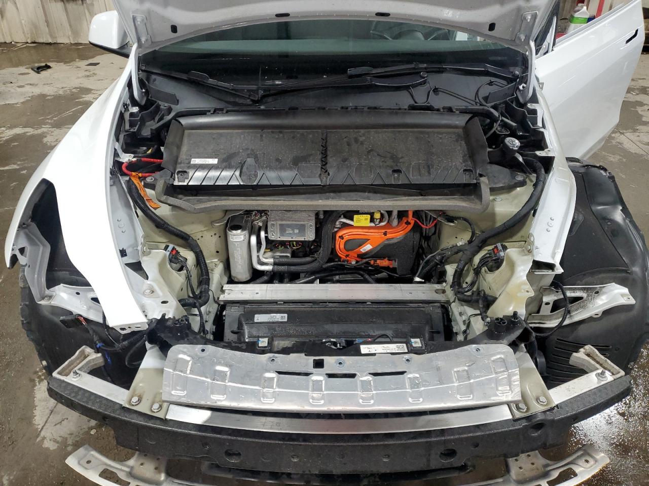 2023 Tesla Model Y VIN: 7SAYGDEE8PF801669 Lot: 92953705