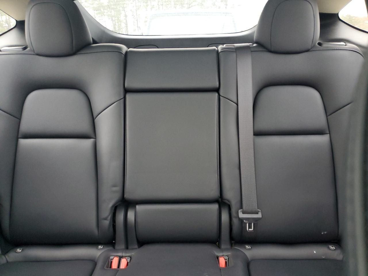 2022 Tesla Model Y VIN: 7SAYGDEF8NF466130 Lot: 93010565