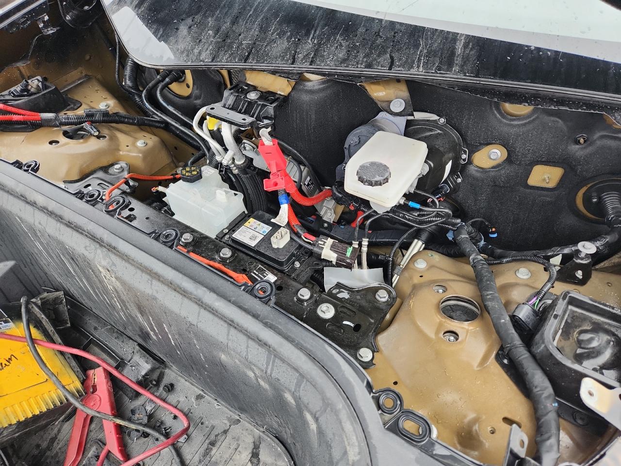 2025 Tesla Model Y VIN: 7SAYGDEE9SF305918 Lot: 84817505