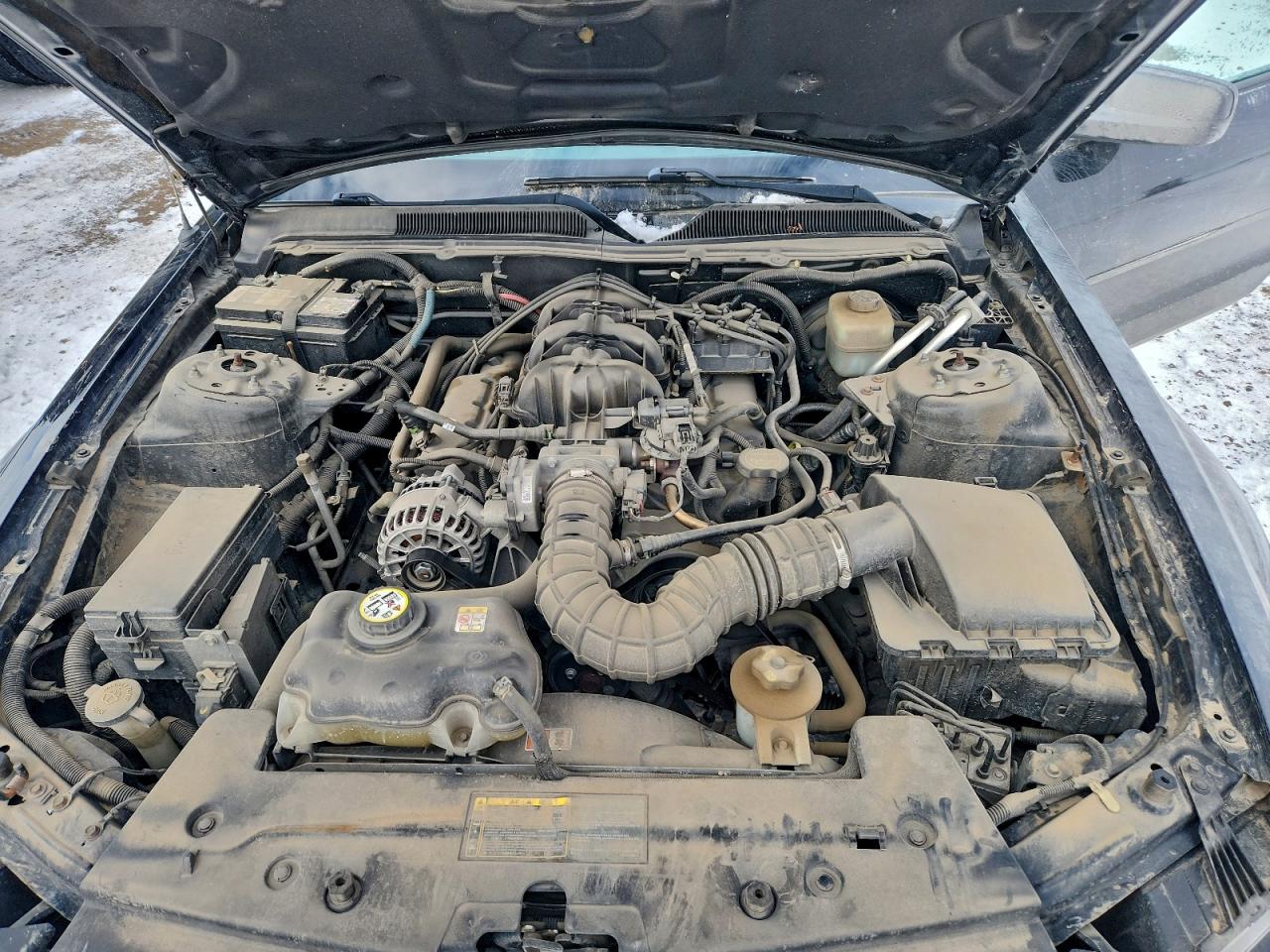 2006 Ford Mustang VIN: 1ZVFT80N765160252 Lot: 94958315