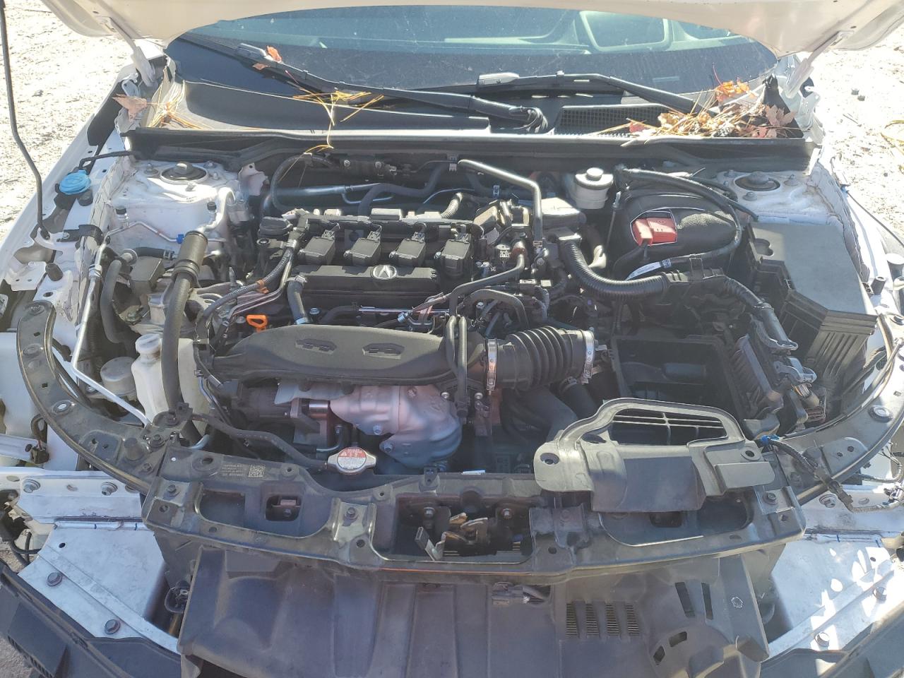 2023 Acura Integra A-Spec Tech VIN: 19UDE4H6XPA006056 Lot: 91905885