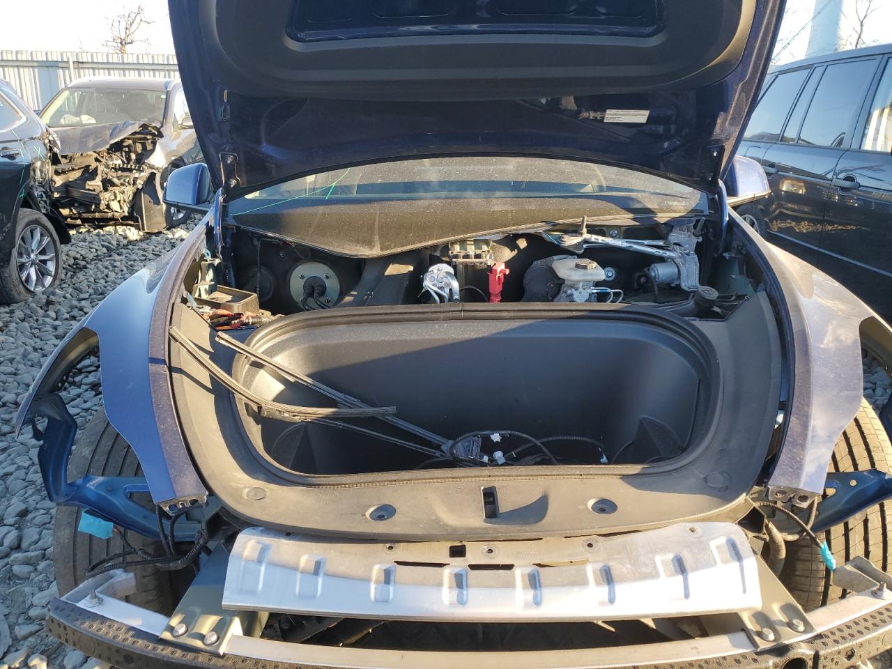 2023 Tesla Model Y VIN: 7SAYGAEE4PF675566 Lot: 91653315