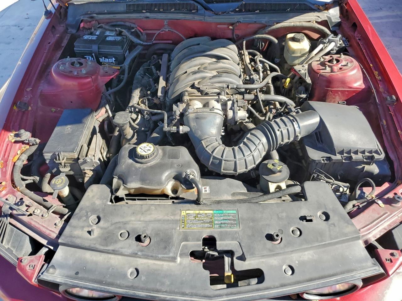 2006 Ford Mustang Gt VIN: 1ZVHT82H265111475 Lot: 93819665