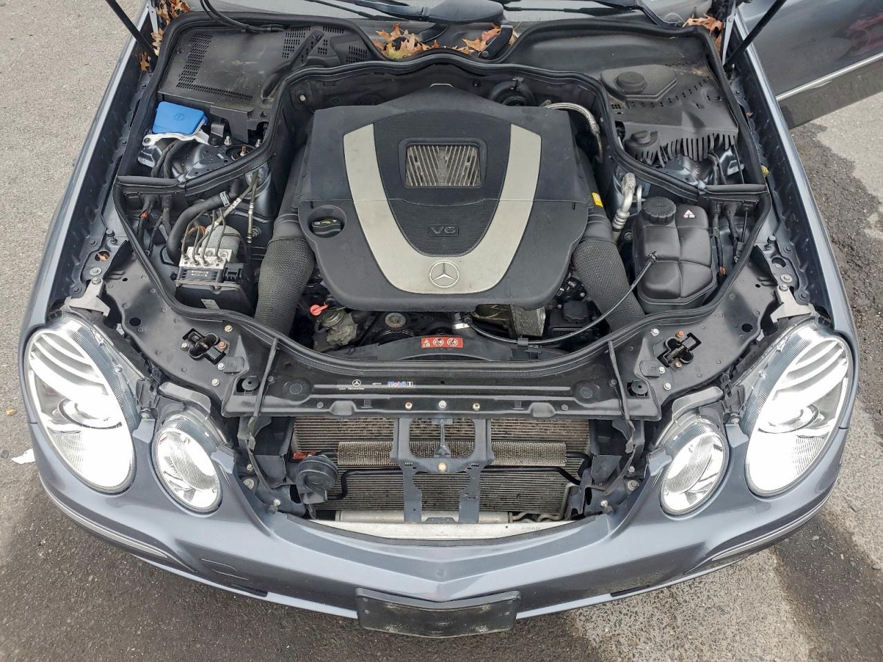 2009 Mercedes-Benz E 350 4Matic VIN: WDBUF87X89B436449 Lot: 93777175