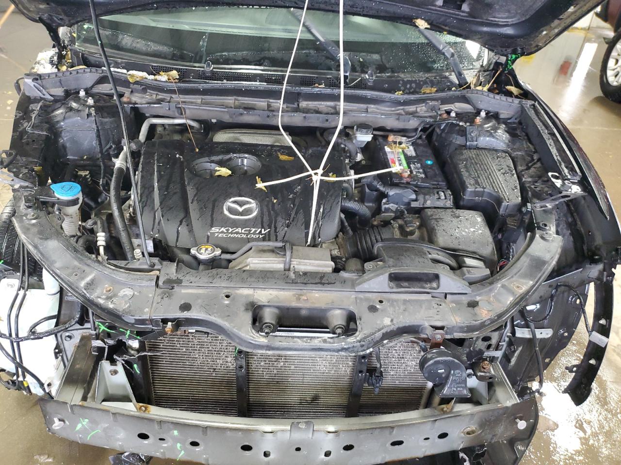 2014 Mazda Cx-5 Touring VIN: JM3KE2CY8E0354113 Lot: 91895205