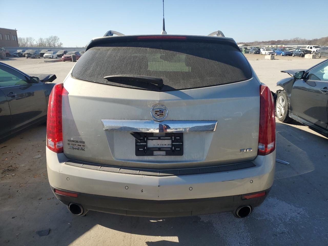 2013 Cadillac Srx Luxury Collection VIN: 3GYFNCE39DS524997 Lot: 93464655