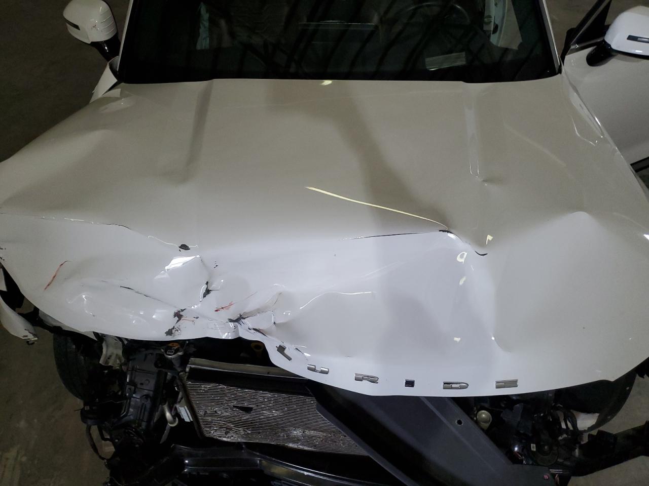 2021 Kia Telluride Sx VIN: 5XYP5DHC7MG176503 Lot: 90879155