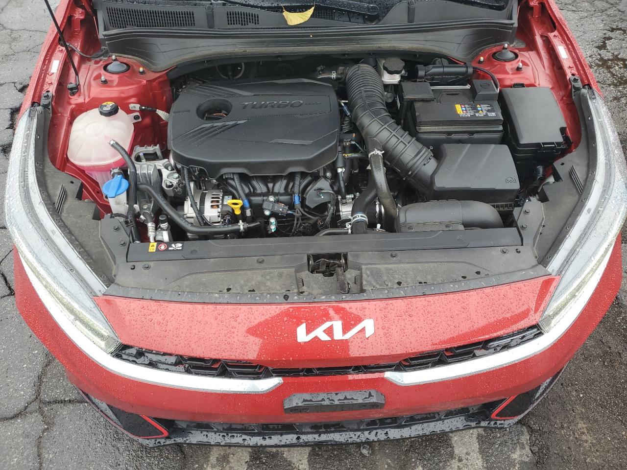 2023 Kia Forte Gt VIN: 3KPF44AC5PE675570 Lot: 92442615