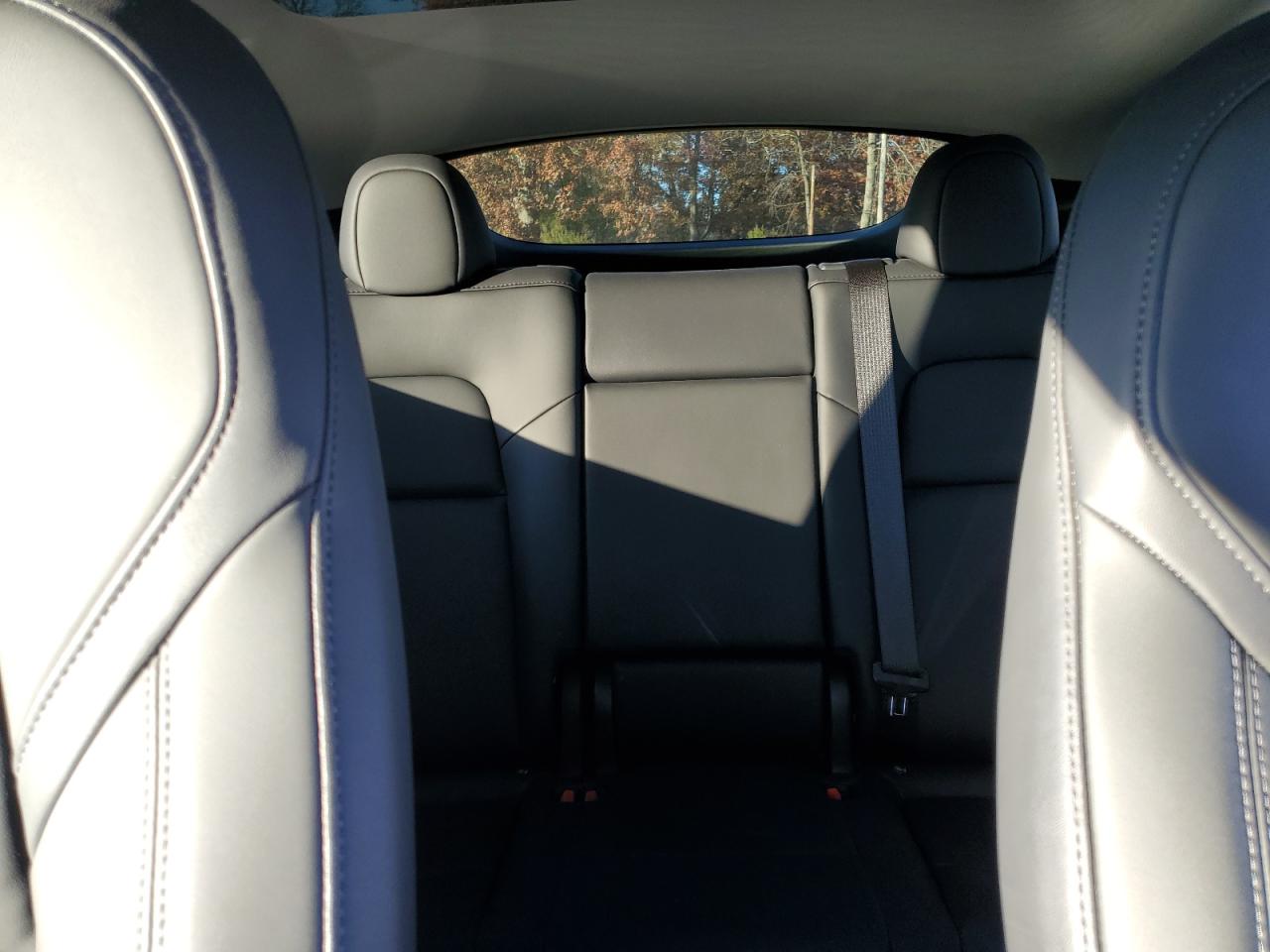 2023 Tesla Model Y VIN: 7SAYGDEE8PA056192 Lot: 92948145