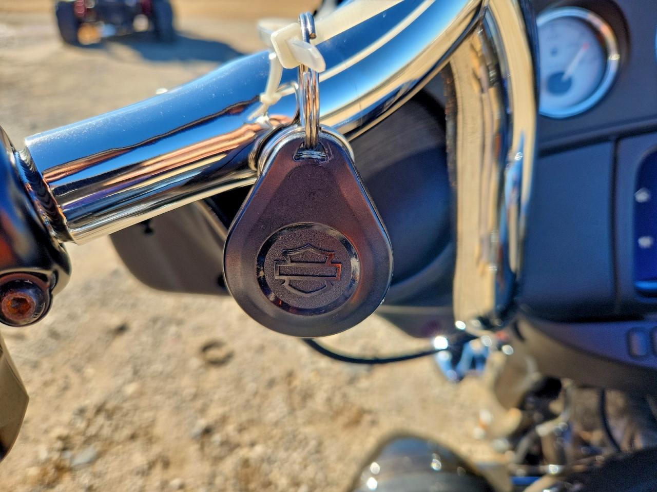 2021 Harley-Davidson Flhx VIN: 1HD1KBC11MB672155 Lot: 93616355