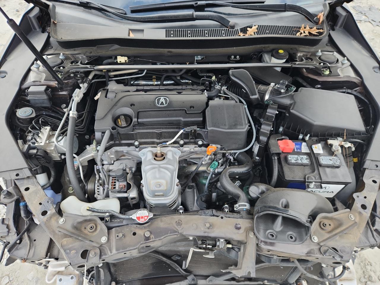 2015 Acura Tlx VIN: 19UUB1F35FA009641 Lot: 93452465