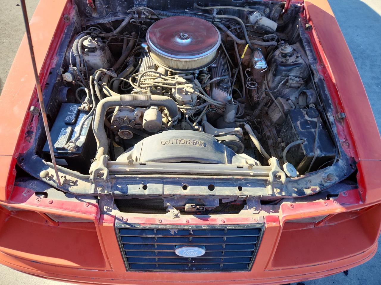 1984 Ford Mustang Glx VIN: 1FABP27MXEF181790 Lot: 92922105