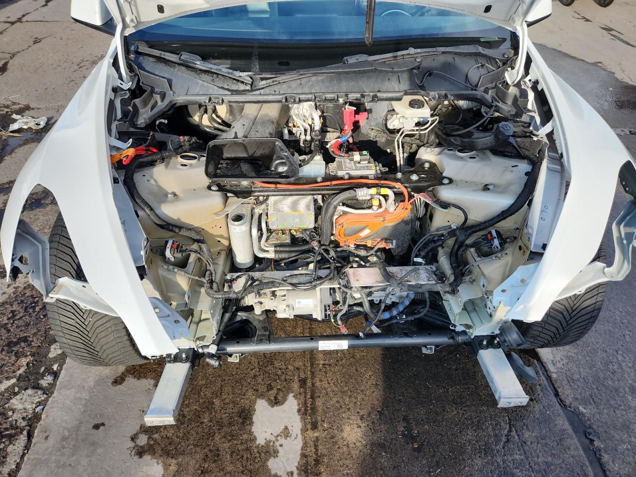 2023 Tesla Model Y VIN: 7SAYGAEE3PF591383 Lot: 91052325