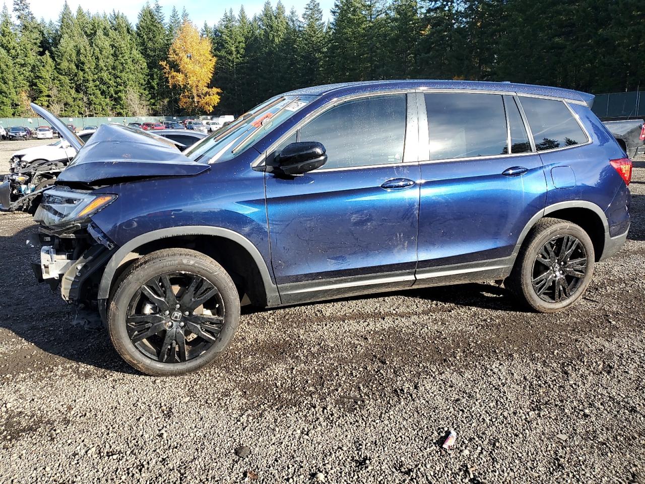 2019 Honda Passport Sport