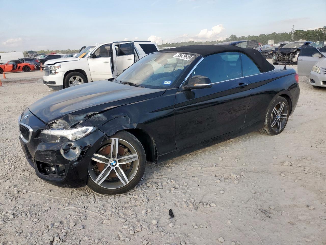 2017 BMW 230I VIN: WBA2K9C3XHV950617 Lot: 93519685