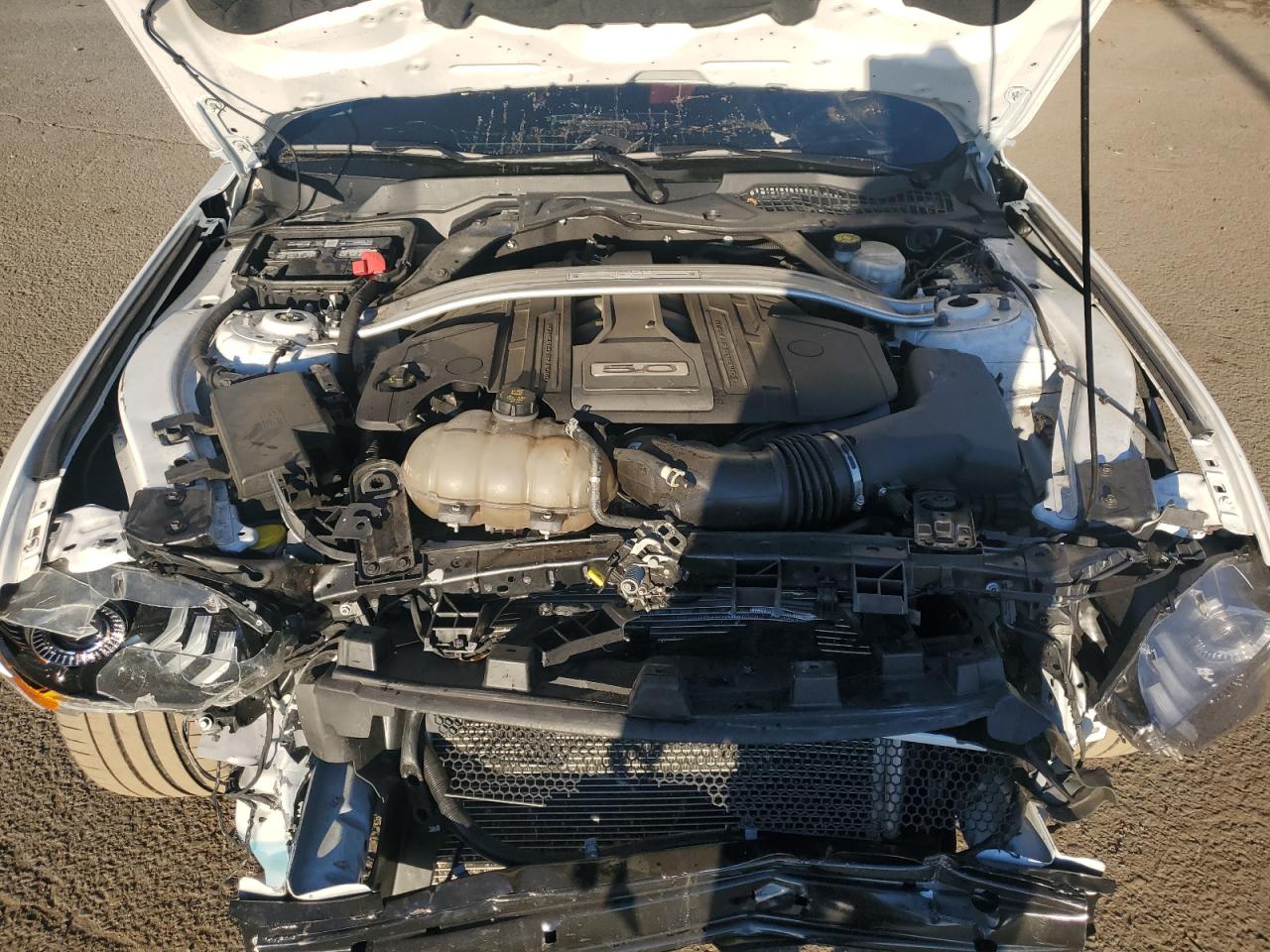 2019 Ford Mustang Gt VIN: 1FA6P8CF2K5198760 Lot: 93825725