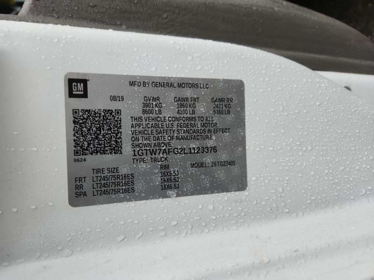 2020 GMC Savana Delivery Truck VIN: 1GTW7AFG2L1123376 Lot: 91213145