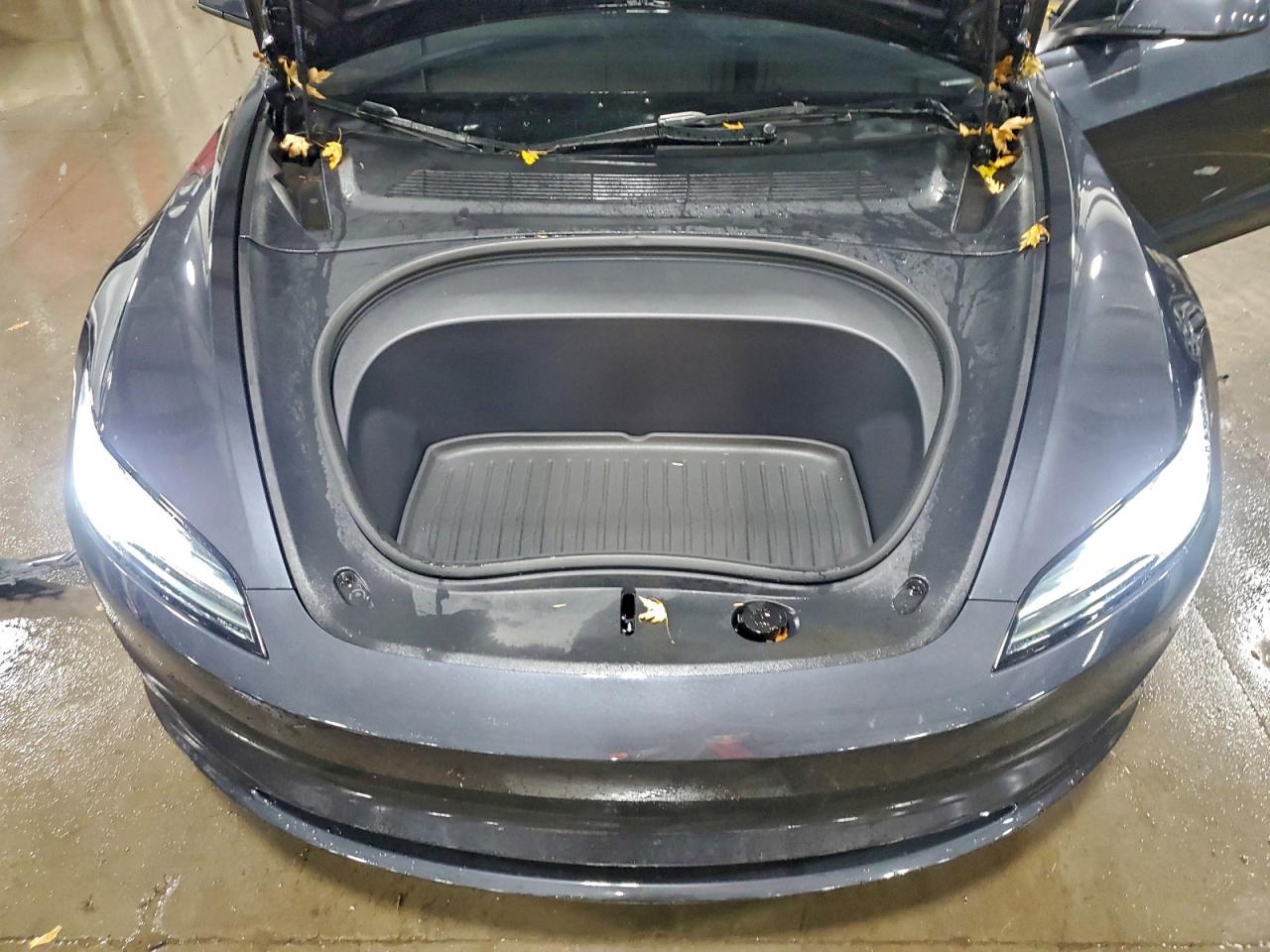 2025 Tesla Model 3 VIN: 5YJ3E1EA0SF007105 Lot: 94117175