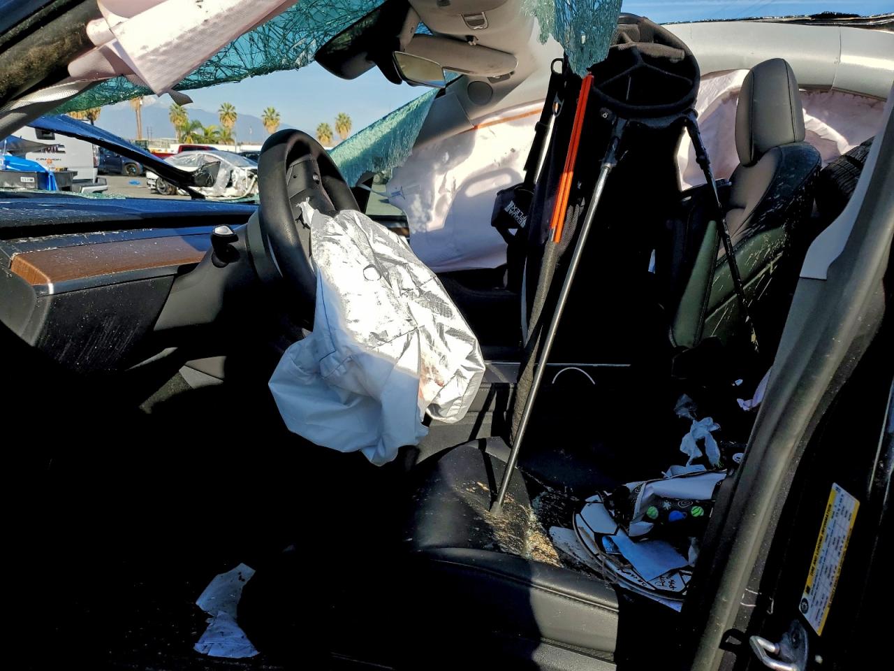 2024 Tesla Model Y VIN: 7SAYGDEE2RF132737 Lot: 93760855