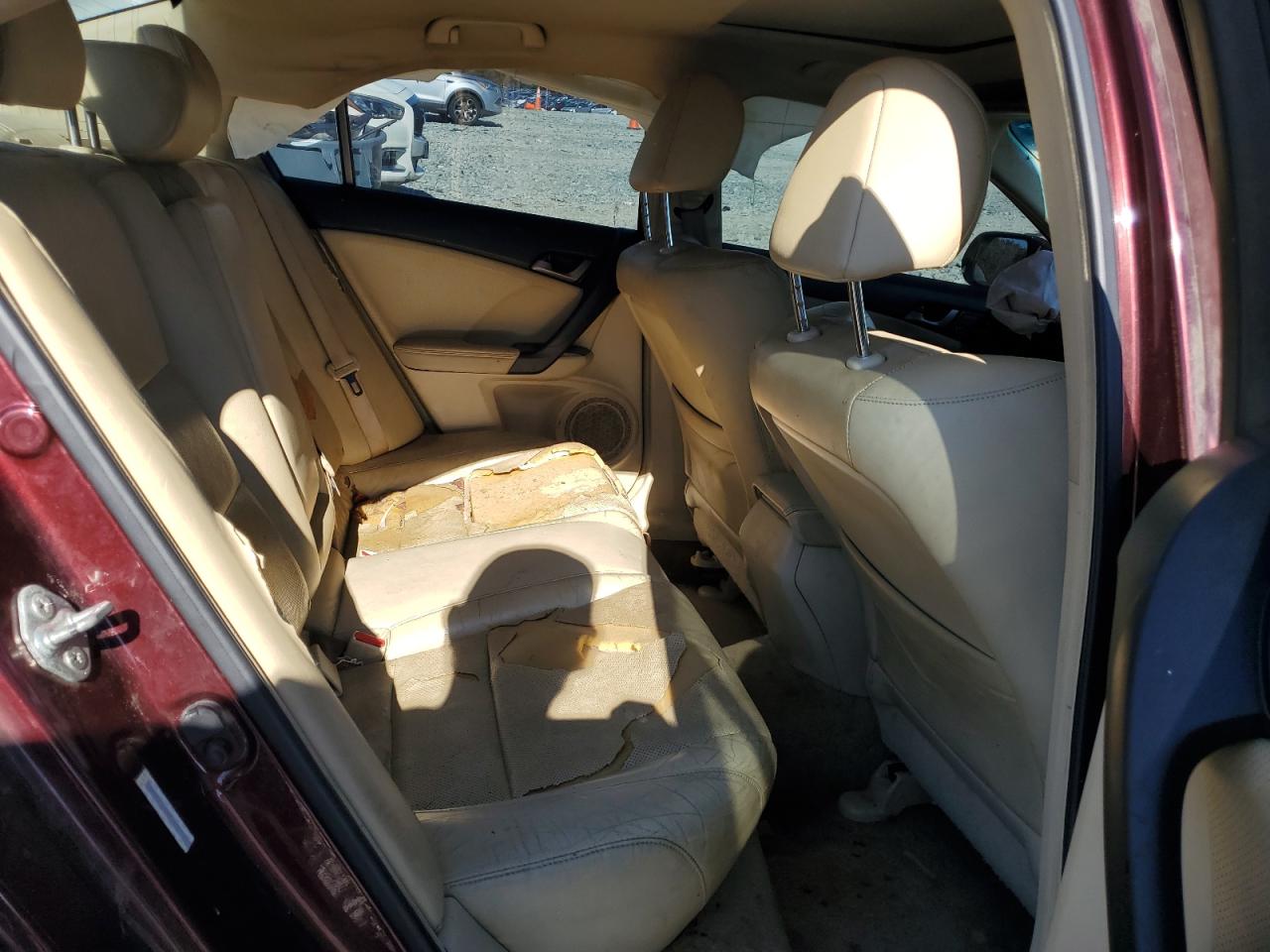 2010 Acura Tsx VIN: JH4CU2F66AC021037 Lot: 90859435