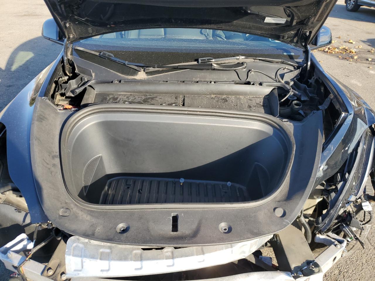 2023 Tesla Model Y VIN: 7SAYGDEE6PA187962 Lot: 91473115