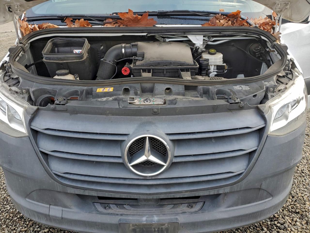 2020 Mercedes-Benz Sprinter 1500 VIN: W1W70BGY4LT036545 Lot: 93840835