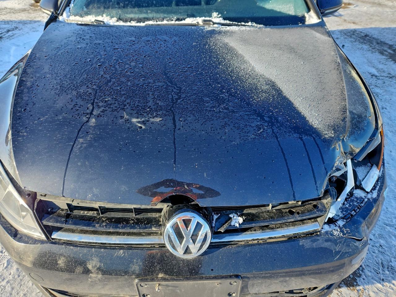 2016 Volkswagen Golf S/Se VIN: 3VW217AU2GM010761 Lot: 93337905