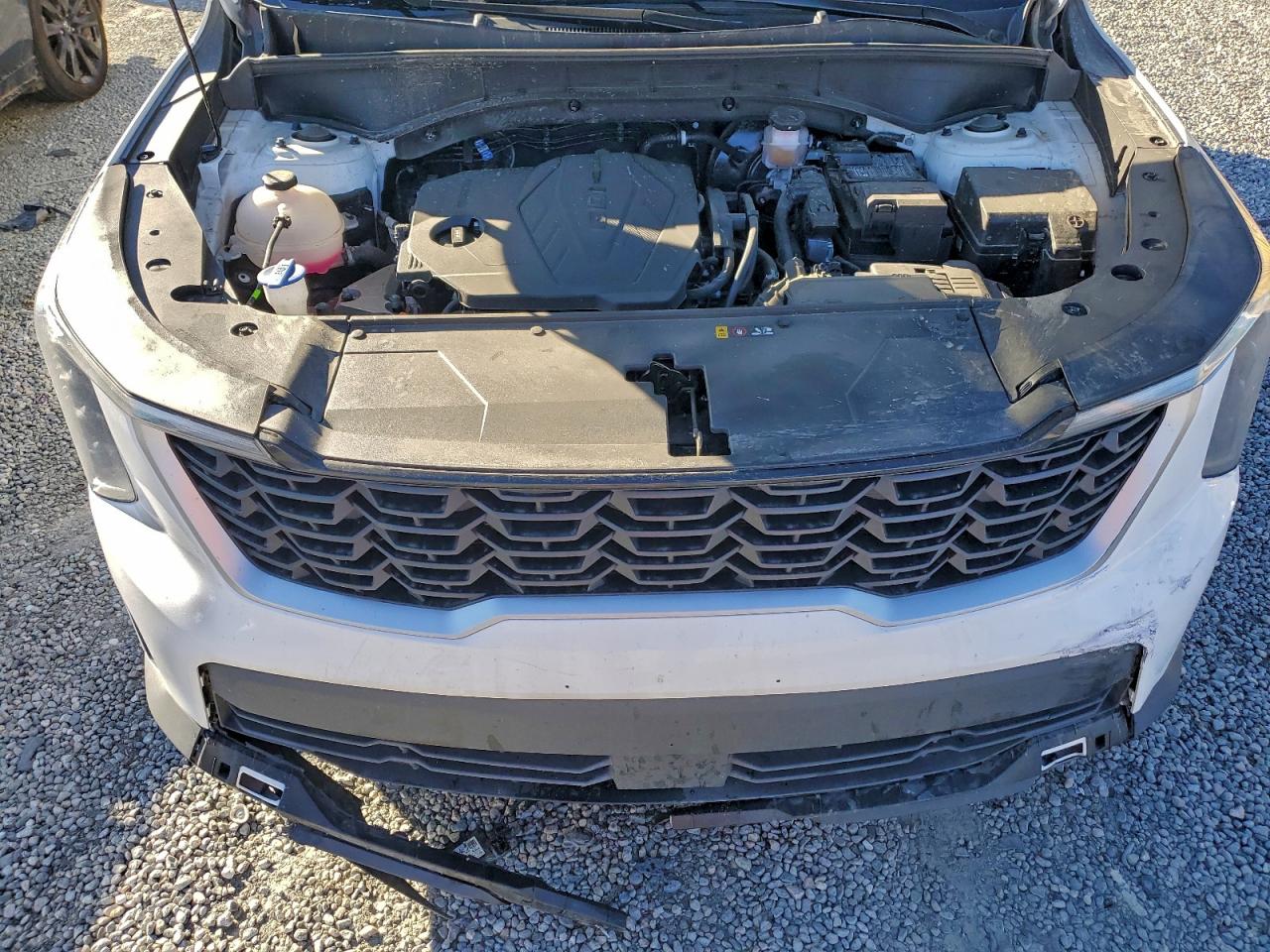 2025 Kia Sorento Lx VIN: 5XYRG4JC8SG359144 Lot: 94671915