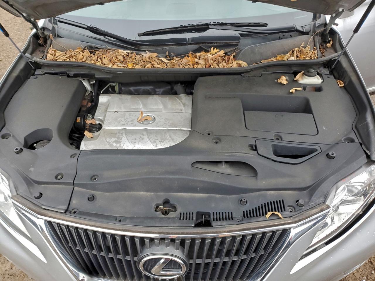 2010 Lexus Rx 350 VIN: 2T2BK1BA5AC060423 Lot: 94492385