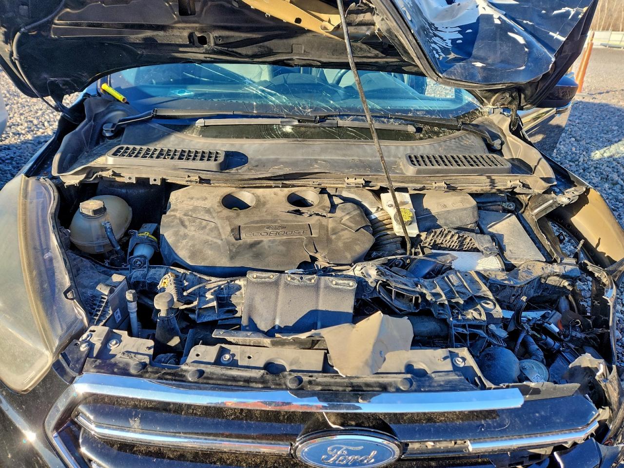 2017 Ford Escape Se VIN: 1FMCU0G95HUA47014 Lot: 94284065