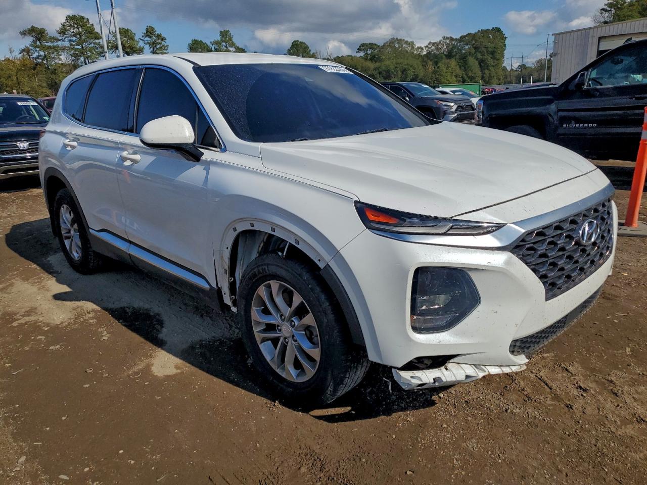 2020 Hyundai Santa Fe Sel VIN: 5NMS3CAD5LH271319 Lot: 93922285
