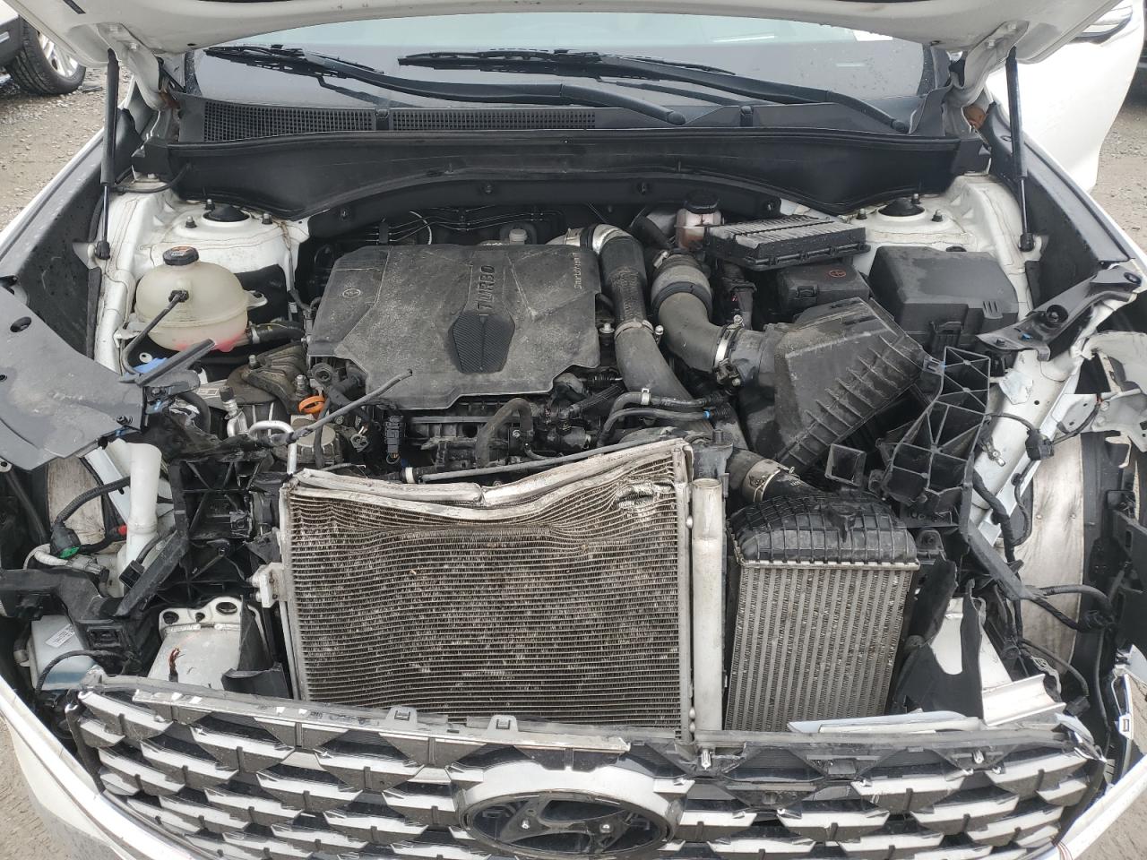 2022 Hyundai Santa Fe Calligraphy VIN: 5NMS54AL1NH387711 Lot: 93624265