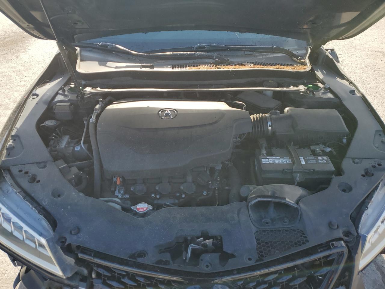 2015 Acura Tlx VIN: 19UUB2F32FA018805 Lot: 92261805